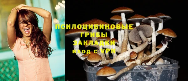 кокс Магас